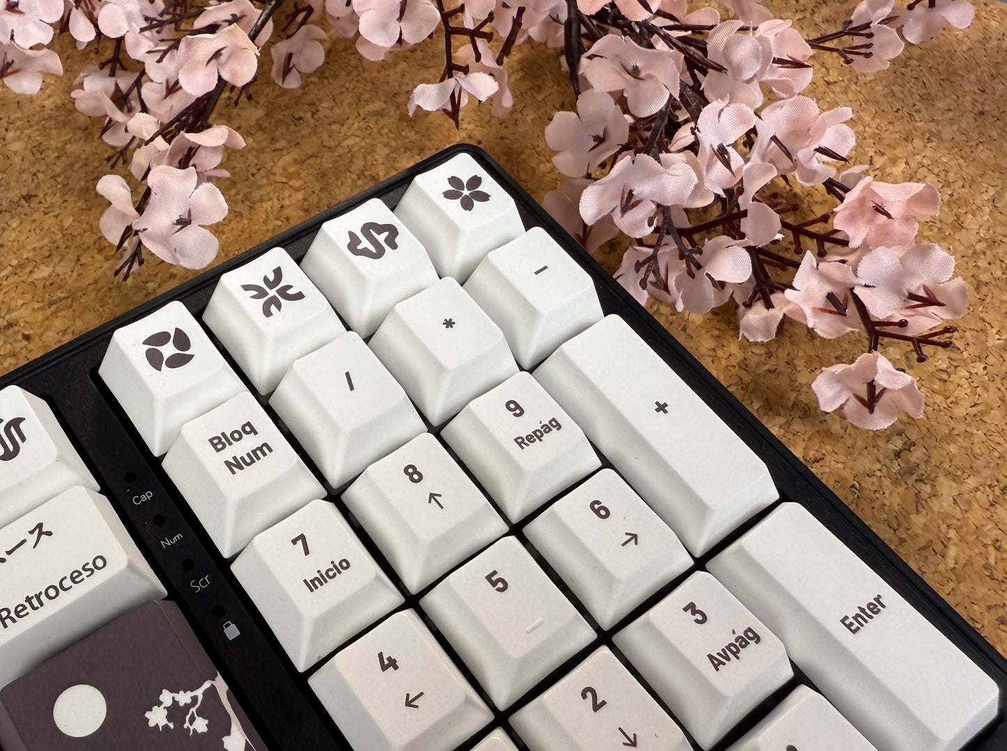 Teclas Hiragana + Teclado Niemi 101 Negro