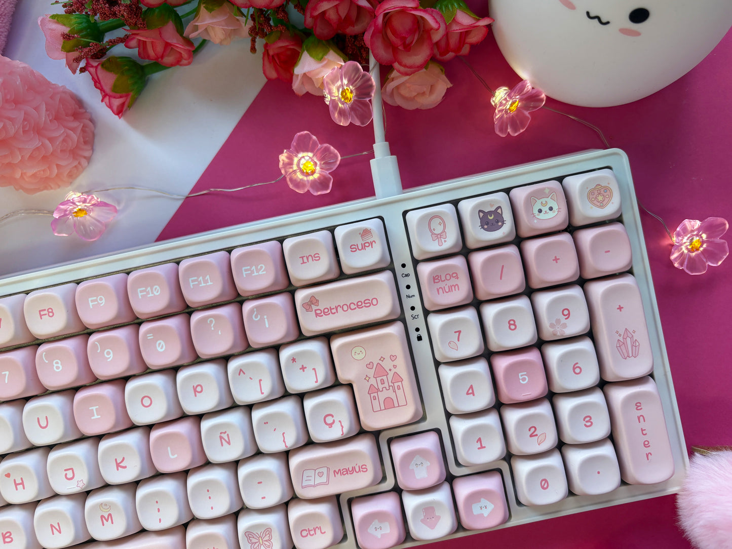 Teclas la Vida en Rosa