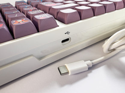 Teclas Goto83 + Teclado Niemi 101 Blanco