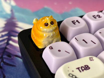 Edición limitada Miwi 🐱