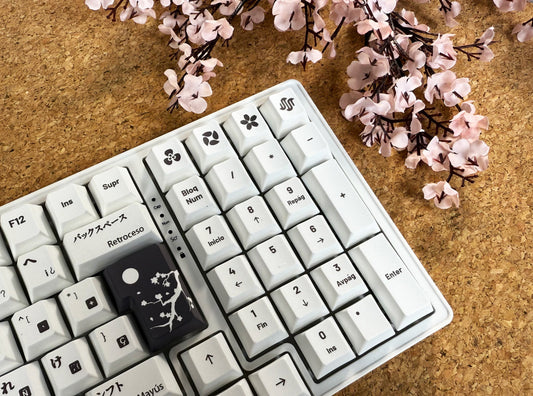 Teclas Hiragana + Teclado Niemi 101 Blanco