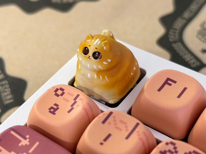 Edición limitada Miwi 🐱