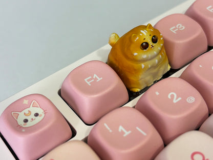 Edición limitada Miwi 🐱