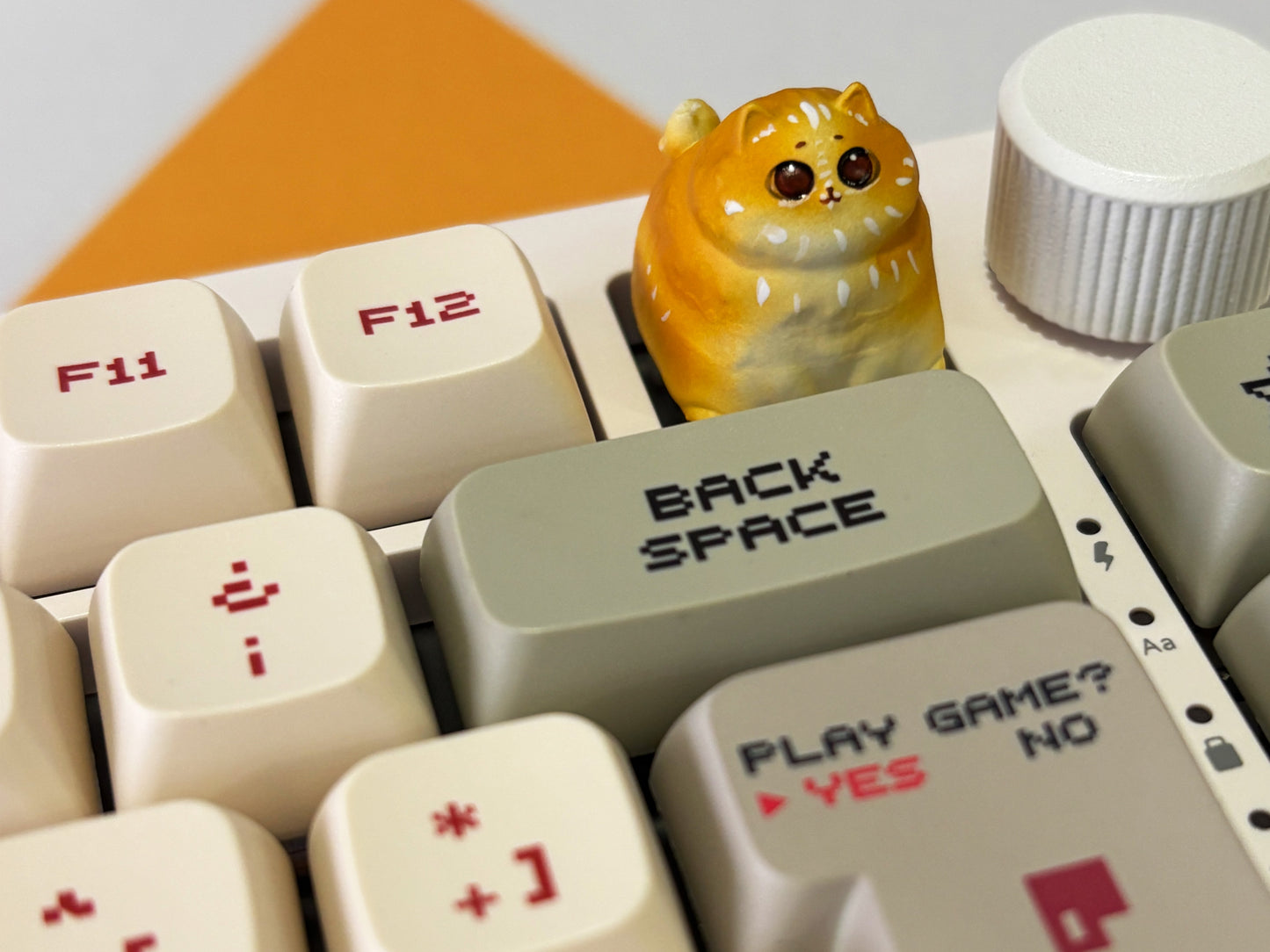 Edición limitada Miwi 🐱