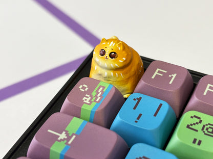 Edición limitada Miwi 🐱