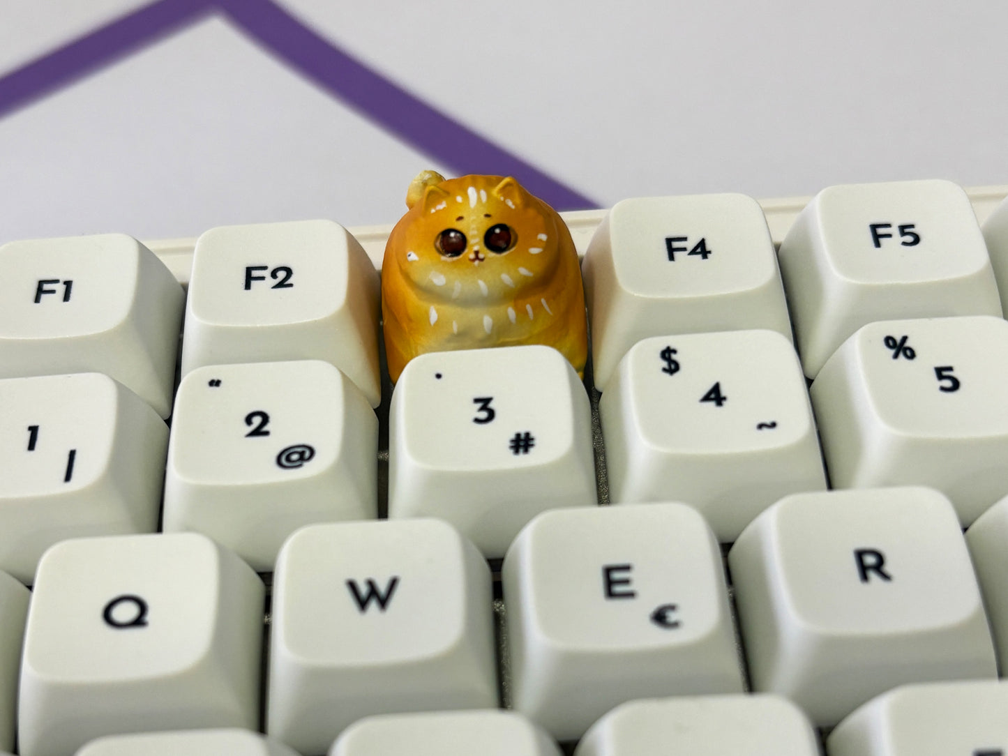 Edición limitada Miwi 🐱