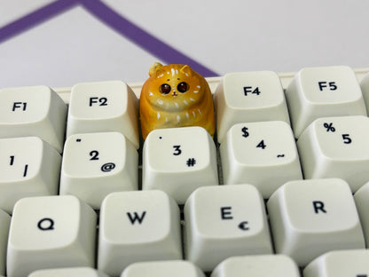 Edición limitada Miwi 🐱