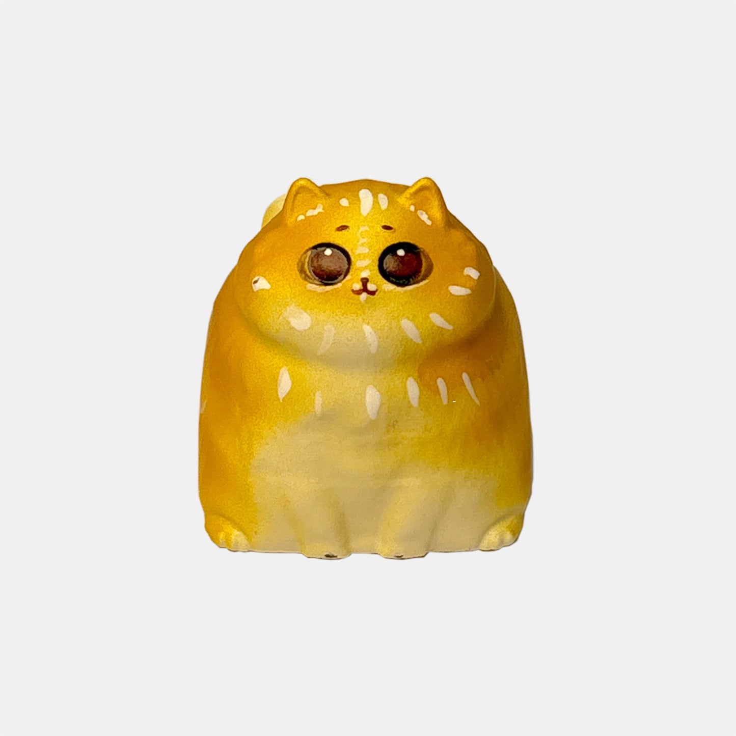 Edición limitada Miwi 🐱