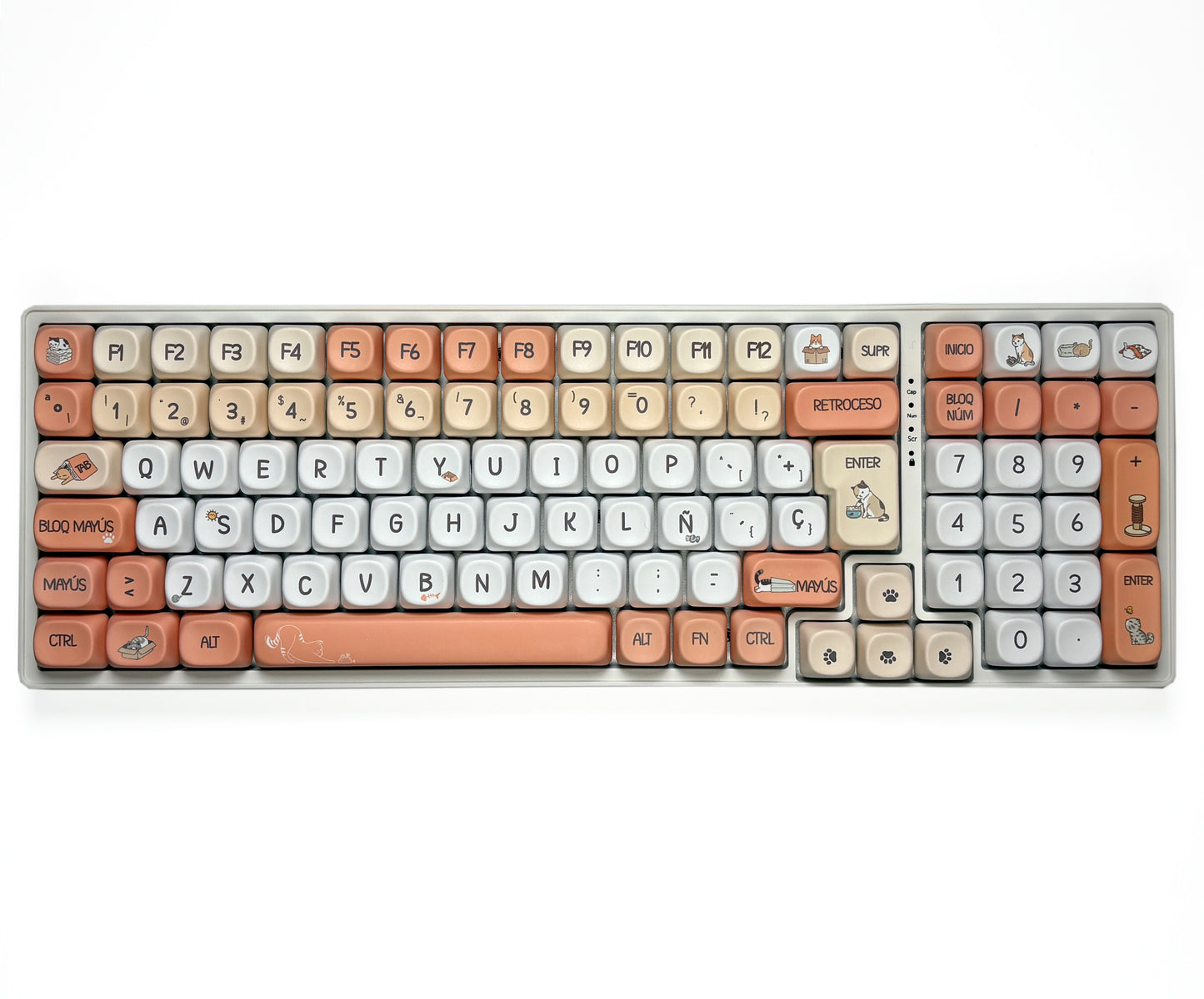 Teclas Ronroneador + Teclado Niemi 101 Blanco